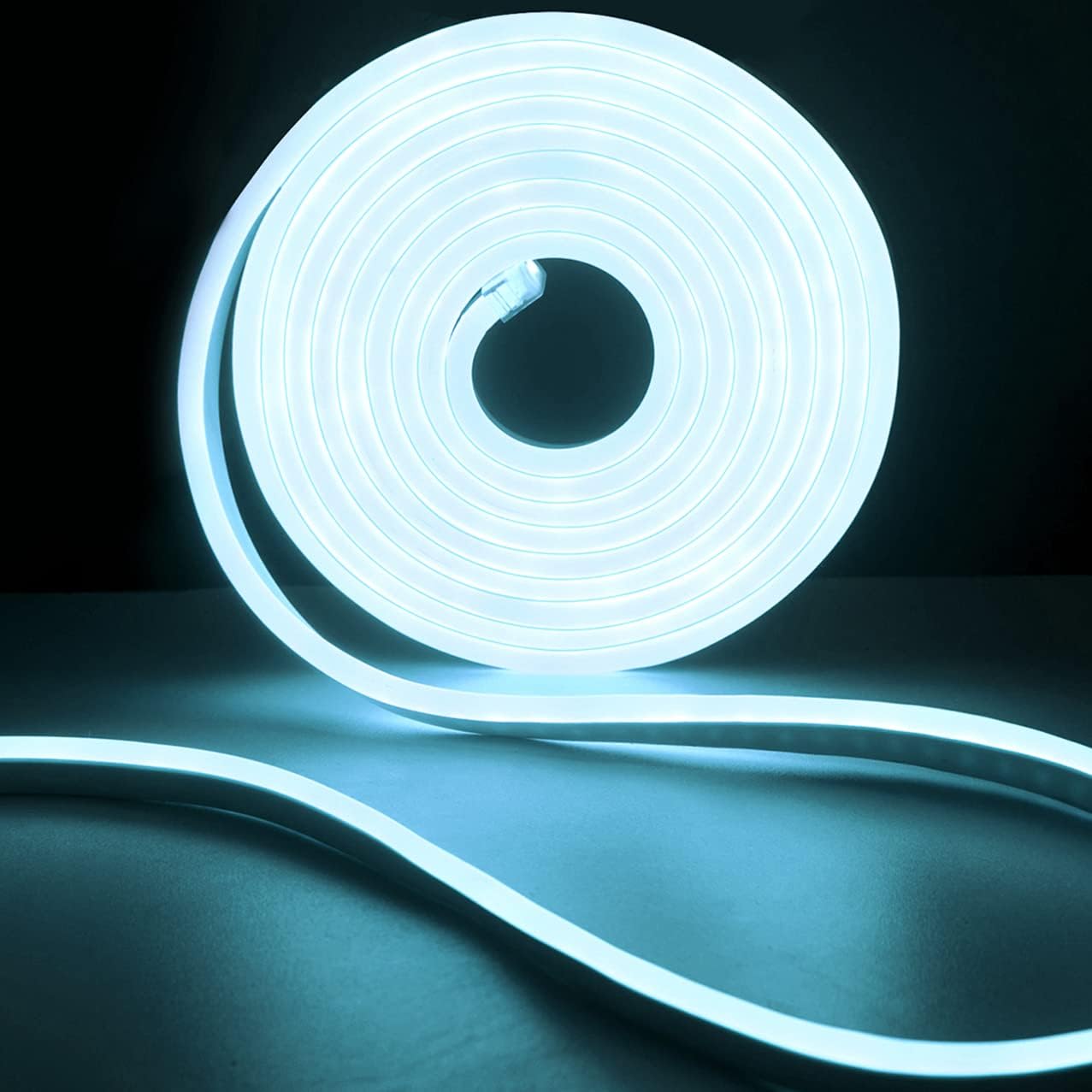 SINGLE NEON STRIP LIGHT 5M